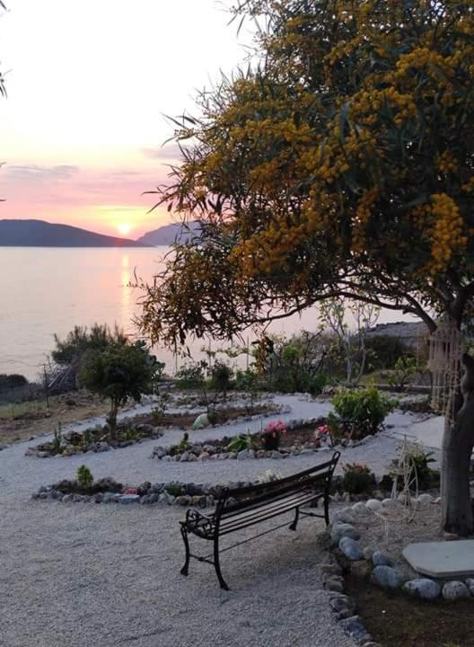 Sylvia'S Houses Skalia ภายนอก รูปภาพ